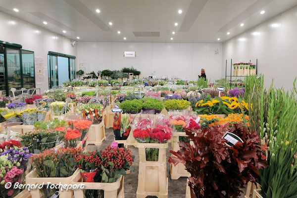Halle aux fleurs du marché de Brienne à Bordeaux  | 33-bordeaux.com