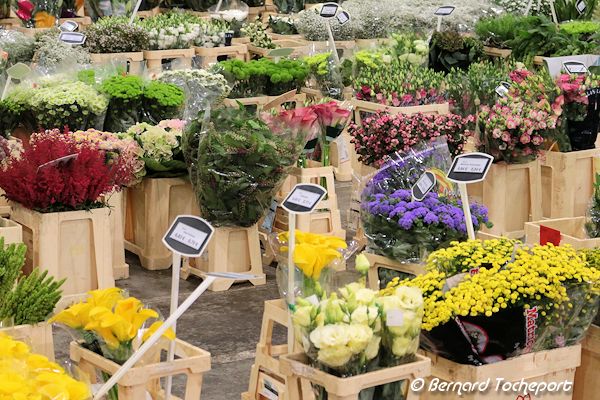 Marché de gros : bâtiment des fleurs à Brienne  | 33-bordeaux.com
