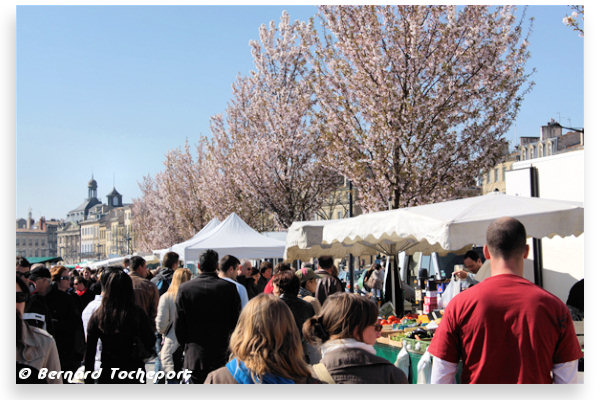 Allée du marché des Chartrons à Bordeaux  | 33-bordeaux.com