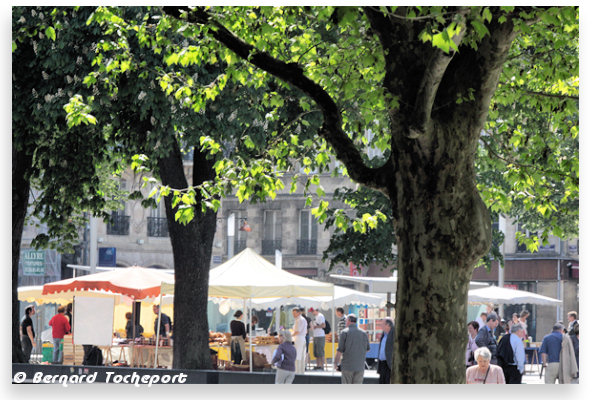 BORDEAUX ambiance du marché de la place Pey Berland | 33-bordeaux.com
