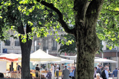 Le Marché de la place Pey Berland -  photo 33-bordeaux.com