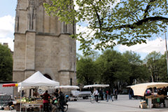 Le Marché de la place Pey Berland -  photo 33-bordeaux.com