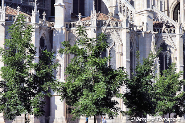 Bordeaux place Pey Berland arbres et cathédrale Saint André | Photo Bernard Tocheport