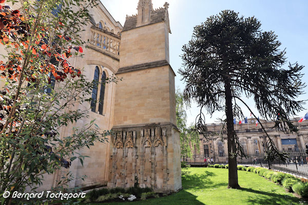 Cathédrale Saint André et vue sur la mairie de Bordeaux | Photo Bernard Tocheport