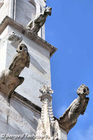 Gargouilles de la cathédrale Saint André à Bordeaux | Photo Bernard Tocheport