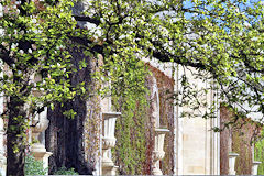 Au printemps pavillon administratif du Muséum de Bordeaux | Photo Bernard Tocheport