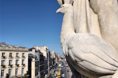 Bordeaux le paon de Junon place de la Comédie au balcon du Grand Théâtre | Photo Bernard Tocheport