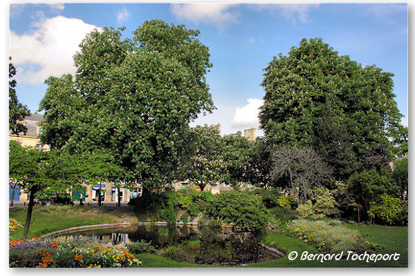 Bordeaux les arbres et le petit lac de la place Gambetta | Photo Bernard Tocheport