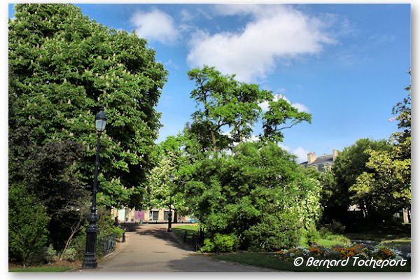 Bordeaux les arbres et le chemin de la place Gambetta | Photo Bernard Tocheport