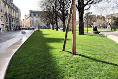 Place Gambetta Bordeaux alignement d'arbres | Photo Bernard Tocheport