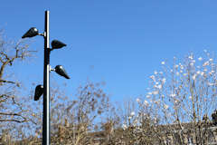 Bordeaux nouveau lampadaire de la place Gambetta | Photo Bernard Tocheport