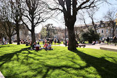 Bordeaux soleil de février au jardin de la place Gambetta | Photo Bernard Tocheport