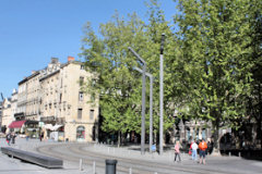 Bordeaux les arbres de l aplace Jean Moulin | Photo Bernard Tocheport 