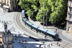 Bordeaux vue du tram & des arbres place Jean Moulin depuis la tour Pey Berland  | Photo Bernard Tocheport