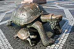 Bordeaux les tortues d'Yvan Theimer place de la Victoire | Photo Bernard Tocheport