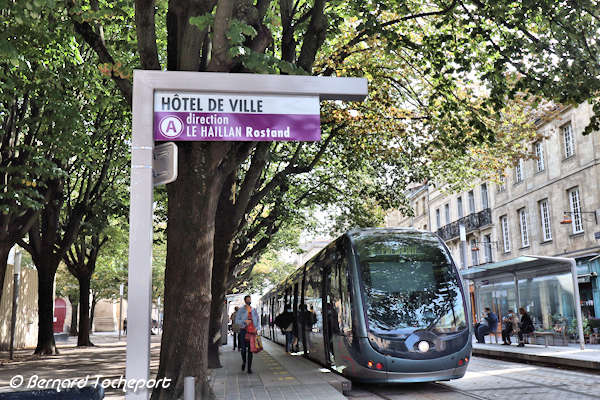 Bordeaux station tram A Hôtel de Ville sous les arbres | Photo Bernard Tocheport 
