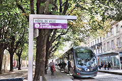 Bordeaux station tram A Hôtel de Ville sous les arbres | Photo Bernard Tocheport 
