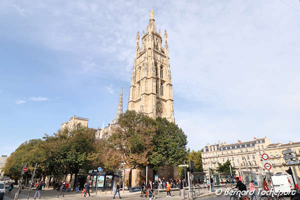 Bordeaux arbres au pied de la tour Pey Berland | Photo Bernard Tocheport 