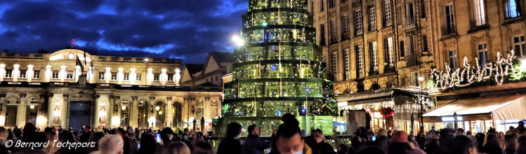 Bordeaux Sapin de Noël Arnaud Lapierre place Pey Berland | Photo Bernard Tocheport