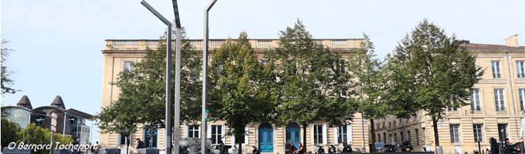 Arbres de la place Pey Berland à Bordeaux | Photo Bernard Tocheport