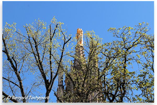 Bordeaux Notre dame d'Aquitaine et les anciens arbres de la place Pey Berland | Photo Bernard Tocheport