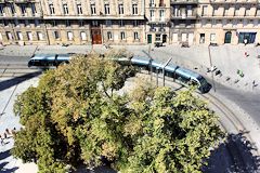 Bordeaux tram et anciens arbres de la place Pey Berland | Photo Bernard Tocheport