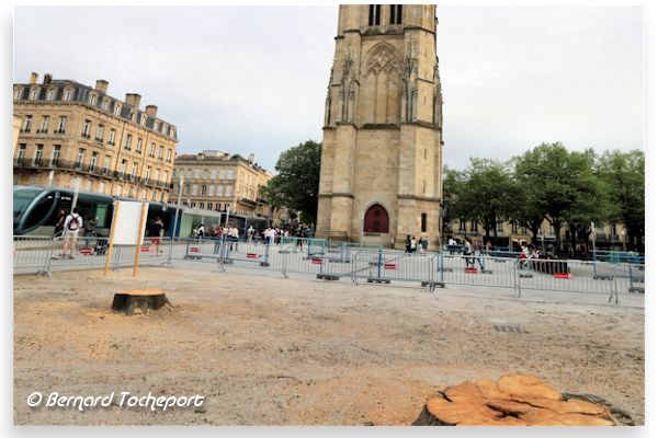 Bordeaux après la coupe des arbres place Pey Berland | Photo Bernard Tocheport