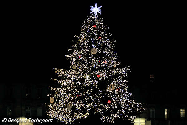Bordeaux sapin de Noël illuminé place Pey Berland | Photo Bernard Tocheport 