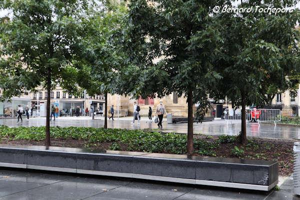 Bordeaux banc et arbres place Pey Berland | Photo Bernard Tocheport 