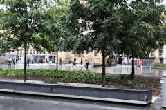 Bordeaux banc et arbres place Pey Berland | Photo Bernard Tocheport 