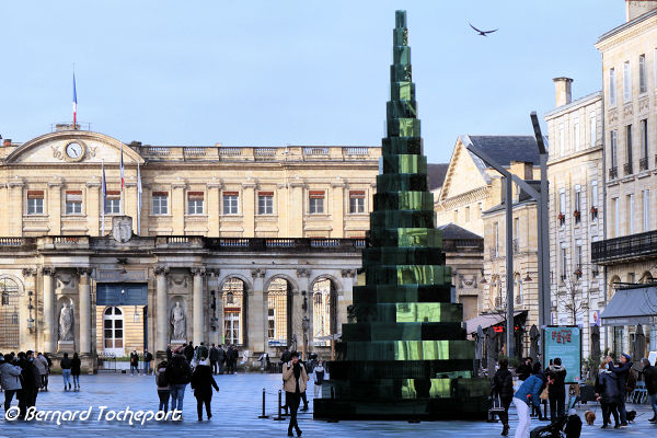 Bordeaux sapin de Noël de la place Pey Berland | Photo Bernard Tocheport 