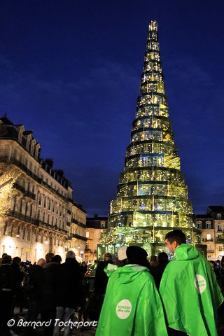 Bordeaux sapin de Noël recyclé et recyclable place Pey Berland | Photo Bernard Tocheport 