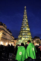 Bordeaux sapin de Noël recyclé et recyclable place Pey Berland | Photo Bernard Tocheport 