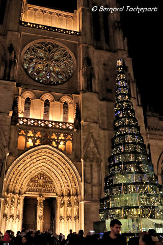 Bordeaux parvis de la cathédrale et sapin de Noël | Photo Bernard Tocheport 