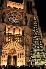 Bordeaux parvis de la cathédrale et sapin de Noël | Photo Bernard Tocheport 