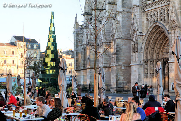 Bordeaux terrasses et sapin de Noël de la place Pey Berland | Photo Bernard Tocheport 