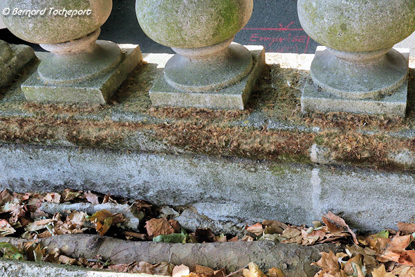 Bordeaux racine de platane poussant la balustrade des Quinconces | Photo Bernard Tocheport
