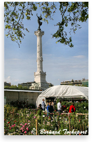 Place des Quinconces foire horticulture et colonne des Girondins | Photo 33-bordeaux.com