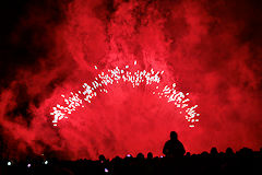 Bordeaux feu d'artifice sur la Place des Quinconces | Photo Bernard Tocheport