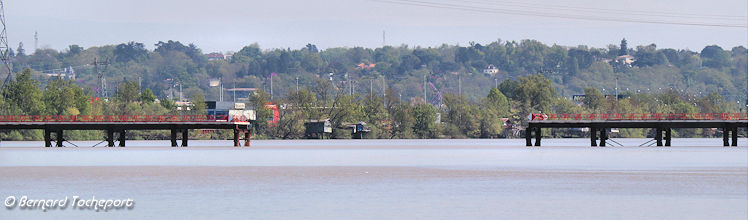 Garonne avancée de l'estacade du pont Simone Veil | Photo Bernard Tocheport