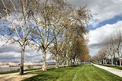 Bordeaux rive droite : promenade quai des Queyries