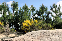 Bordeaux rive droite : la Bastide -  le jardin botanique