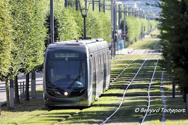 Perspective sur  la voie du tram avenue Thiers à Bordeaux | 33-bordeaux.com