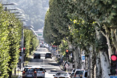 Bordeaux perspective sur l'avenue Thiers | 33-bordeaux.com