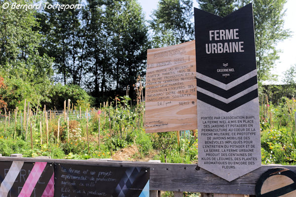 Ferme Urbaine à l'Eco système Darwin de Bordeaux | Photo 33-bordeaux.com