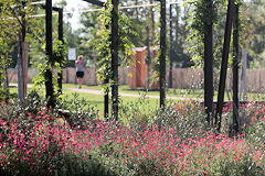 Parc Aux Angéliques un espace vert et fleuri sur la rive droite de  Bordeaux | Photo 33-bordeaux.com