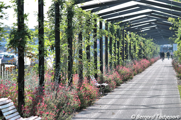 Parc aux Angéliques : Voute fleurie et ombragée en bordure des quais | Photo 33-bordeaux.com