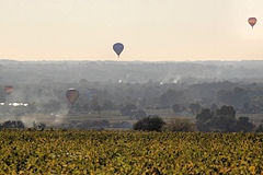 Saint Emilion 5 montgolfières  dans le ciel