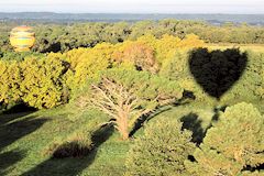 Saint Emilion : montgolfières au lever du soleil