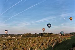 5 montgolfières au dessus des vignes de Saint Emilion